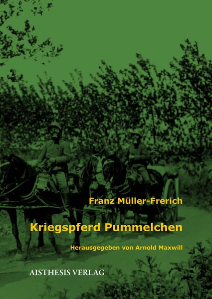 Buchcover mit Abbildung von Soldaten und Pferden mit Gasmasken aus dem ersten Weltkrieg