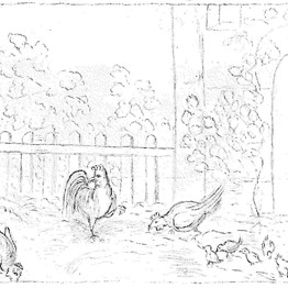 Zeichnung einer Hühnerfamilie von Annette von Droste-Hülshoff